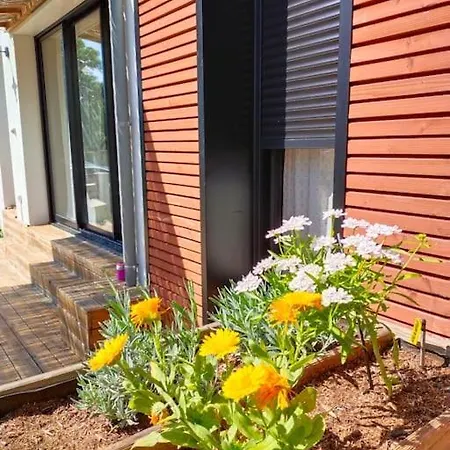 Notre Petite Maison Lägenhet *